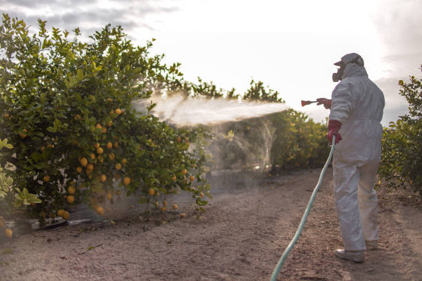 Best Affordable Pest Control Services  in Roxana, IL