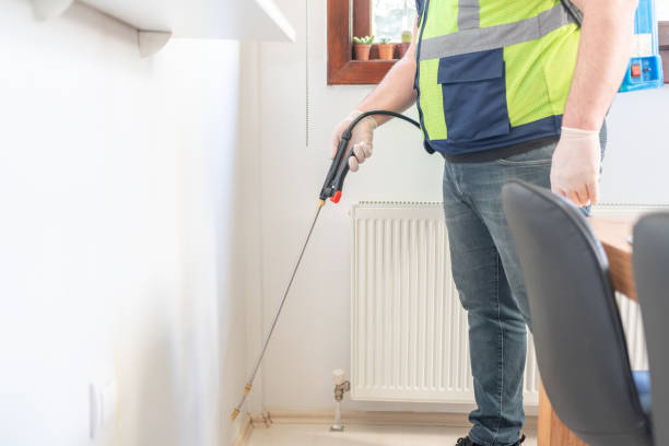 Best Flea Control Services  in Roxana, IL