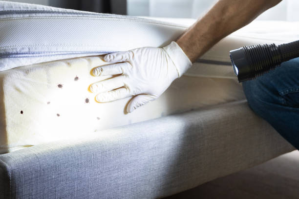 Best Pest Inspection Near Me  in Roxana, IL