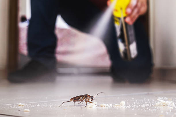 Pest Prevention Services in Roxana, IL