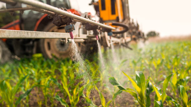 Best Mosquito Control Services  in Roxana, IL